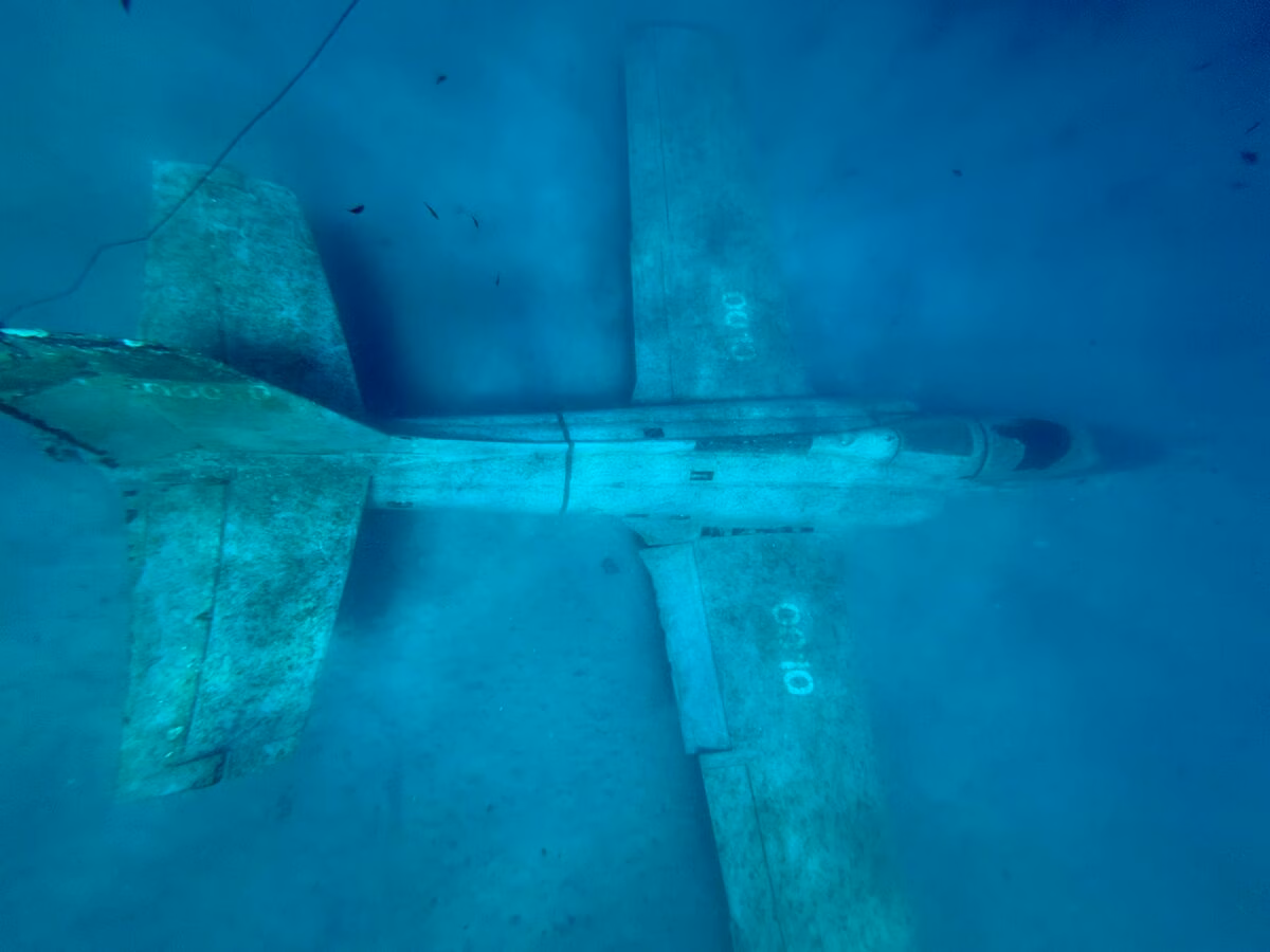 Blue Lagoon & Underwater Museum — photo 30